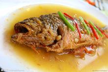 黃魚[石首魚科海洋魚類]