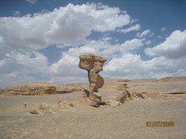 飛行荷蘭人 飛行荷蘭人