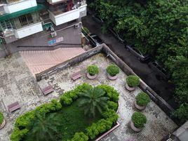 金影花園 金影花園