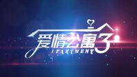 愛情公寓3