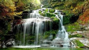 廣東北峰山森林公園 廣東北峰山森林公園