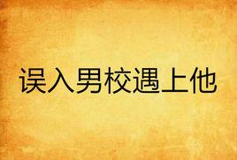 誤入男校遇上他 誤入男校遇上他