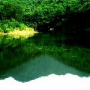 燕子山國家森林公園 燕子山國家森林公園