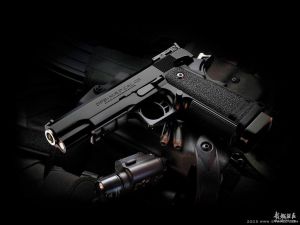 非法出賣轉讓武器裝備罪 非法出賣轉讓武器裝備罪