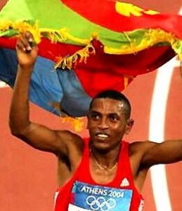 澤爾塞內·塔德瑟 澤爾塞內·塔德瑟