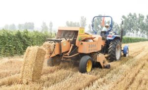 號頭莊回族鄉 號頭莊回族鄉