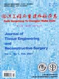 《組織工程與重建外科雜誌》