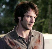 真愛如血[美國2008-2015年安娜·帕奎因主演系列電視劇]