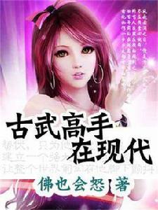 古武高手在現代 古武高手在現代