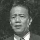 王引中國電影演員、導演。原名王春元。原籍天津，生於上海。1929年入上海暨南影片公司當演員，演出的第一部影片為《火燒青龍寺》。至1930年，主演了《白鵝英雄》等多部影片。