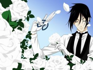 塞巴斯蒂安·米卡利斯