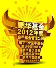 鵬華優質治理 鵬華優質治理