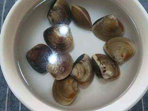 莊河雜色蛤 莊河雜色蛤