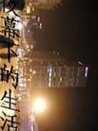 夜幕下的生活 夜幕下的生活