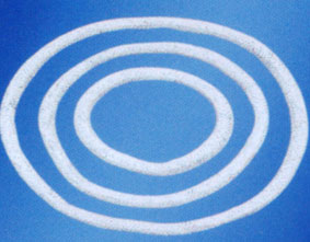 四氟密封環 四氟密封環