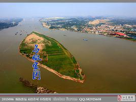 白沙洲[衡陽市雁峰區白沙洲]