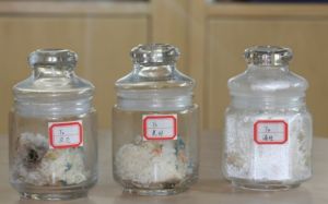 米飯實驗 米飯實驗