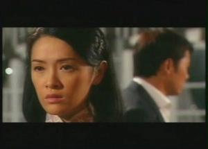 上海傳奇[2006年苗僑偉、向海嵐、黃宗澤主演電視劇]
