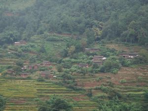 老金寨自然村 老金寨自然村