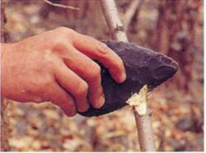 莫維斯線 莫維斯線