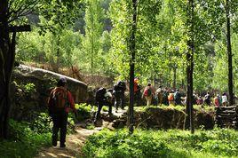 白龍潭村[雲南省曲靖市師宗縣竹基鄉白龍潭村]