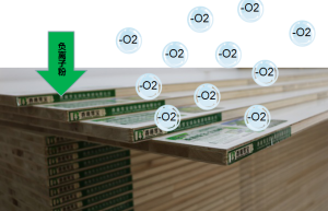 森林有氧板 森林有氧板