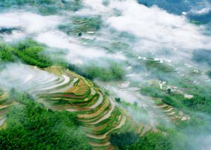 閩北水仙發源地——武夷山風景