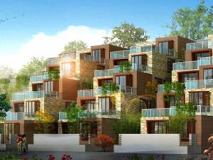 水郡花洲 水郡花洲