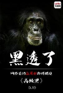 高級黑[網路首檔眾籌劇]