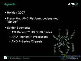 AMD蜘蛛平台