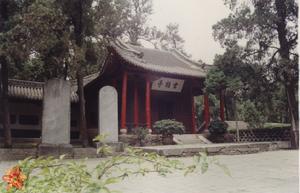 武侯廟古柏 武侯廟古柏