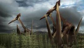 哈特茲哥翼龍 哈特茲哥翼龍