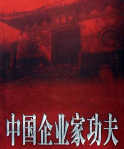 中國企業家功夫 中國企業家功夫