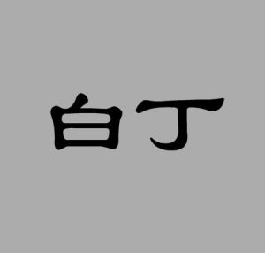 白丁[漢語詞目]