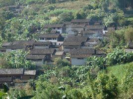 皮涕果自然村 皮涕果自然村