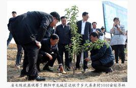 青山工程 青山工程