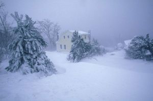 暴風雪山莊 暴風雪山莊