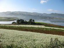 大溝自然村[雲南省丘北縣雙龍營鎮大溝自然村]
