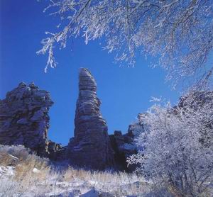 黃崗梁國家森林公園