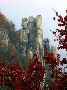 大老嶺國家森林公園 大老嶺國家森林公園