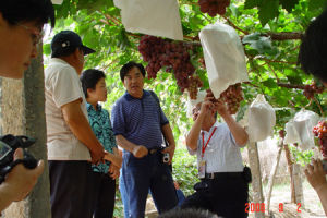 全國農業科技推廣標兵 甘肅農業大學優秀共產黨員 常永義