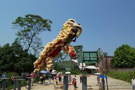 藤縣民間舞獅技藝 藤縣民間舞獅技藝