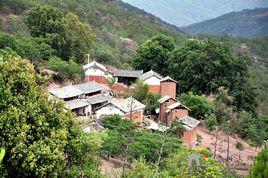 清河村[雲南省曲靖會澤縣田壩鄉清河]