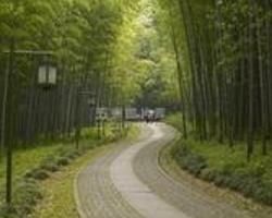 雲溪竹徑 雲溪竹徑