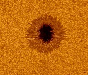 太陽黑子旁邊的米粒組織