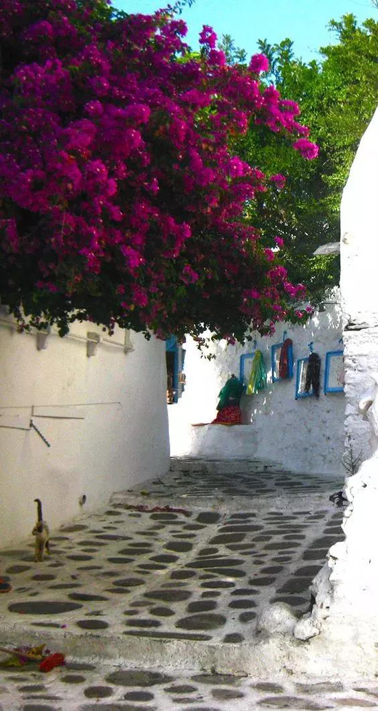 等一個人,陪我去土耳其!匯率暴跌,簽證5分鐘,這個國家美得一塌糊塗!