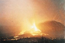 二期結構 二期結構