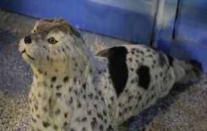 幸福灣海洋科普展覽館 幸福灣海洋科普展覽館