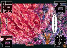 穆先生[日本動漫《聖鬥士星矢》中的黃金聖鬥士]