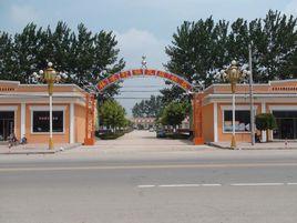 林家疃村[山東省平度市同和街道林家疃村]